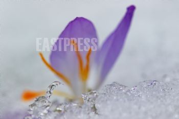 EA340452, Eastpress , Porvoo, Finland